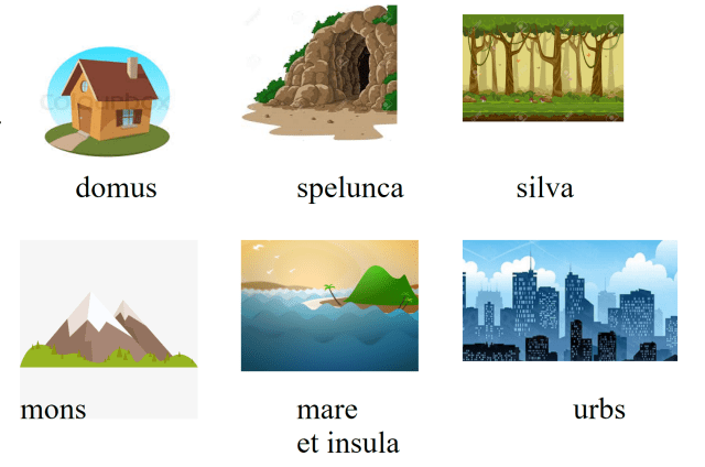 Ubi Habitat - OWI.PNG